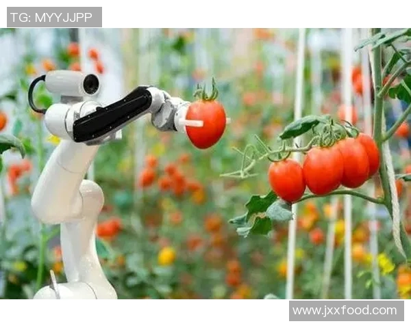 重磅专题探讨JDG控制革新如何引领行业变革与未来发展 重磅专题探讨JDG控制革新如何引领行业变革与未来发展