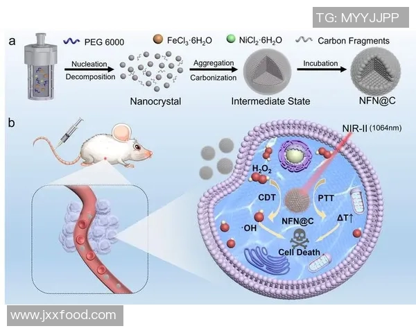 电竞实时数据分析揭示LNG团队协作表现的关键因素与提升策略 电竞实时数据分析揭示LNG团队协作表现的关键因素与提升策略