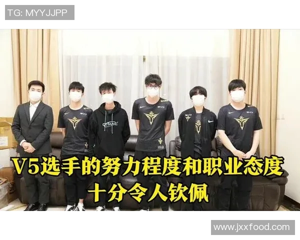 职业联赛中V5选手个人能力表现的全面分析与评价 职业联赛中V5选手个人能力表现的全面分析与评价