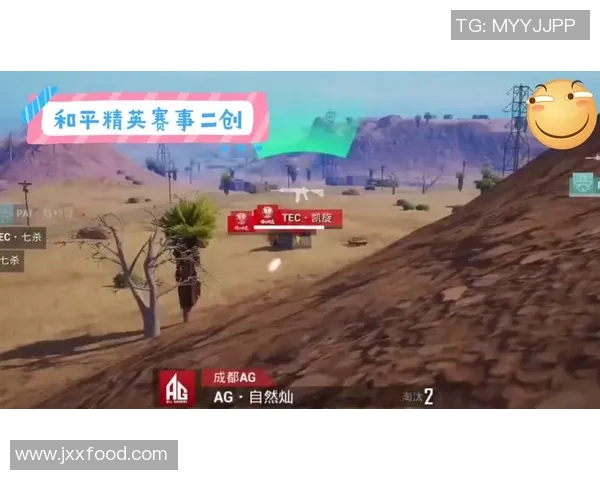 和平精英赛事分析WE战队比赛经验引发热议与争议探讨
