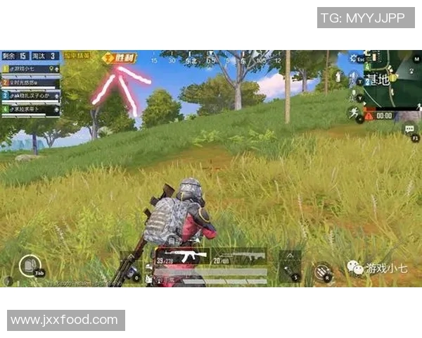 热议和平精英WE耐力变革对游戏平衡与竞技性的深远影响分析 热议和平精英WE耐力变革对游戏平衡与竞技性的深远影响分析