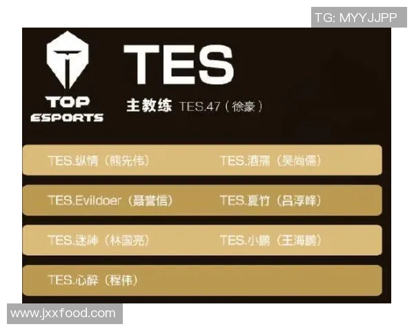 esports数据王者荣耀焦点IG战队比赛经验分析与策略探讨 esports数据王者荣耀焦点IG战队比赛经验分析与策略探讨